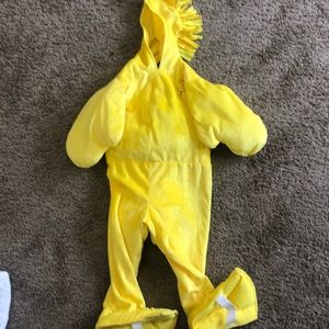 Woodstock costume. Never worn